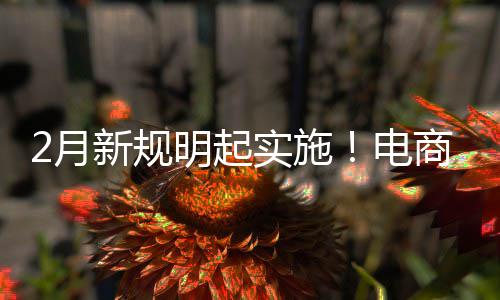 明起实施商平台不退款费险新规电得强制商2月家仅及运